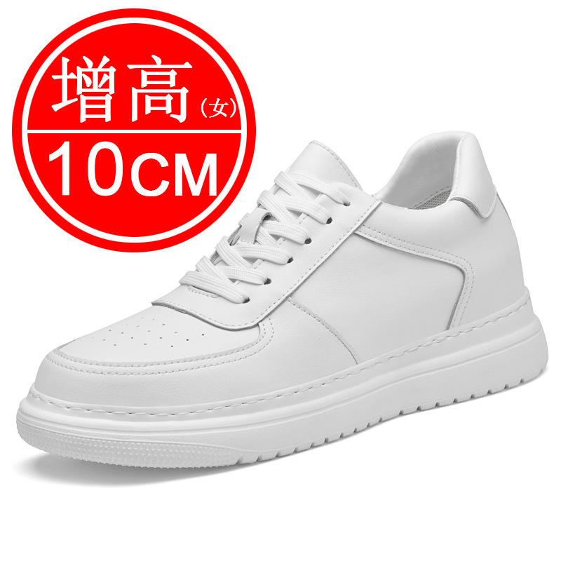 Sepatu penambah tinggi badan t - Sewing New ulasan dan harga